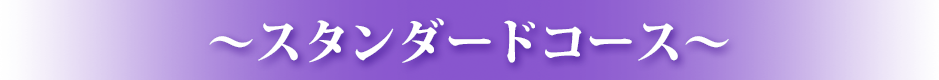 �X�^���_�[�h�R�[�X